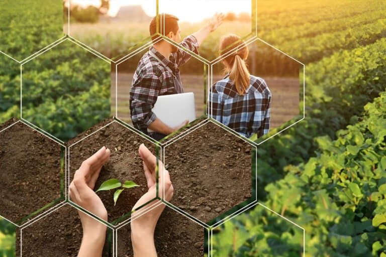 Faculdades de Agronomia