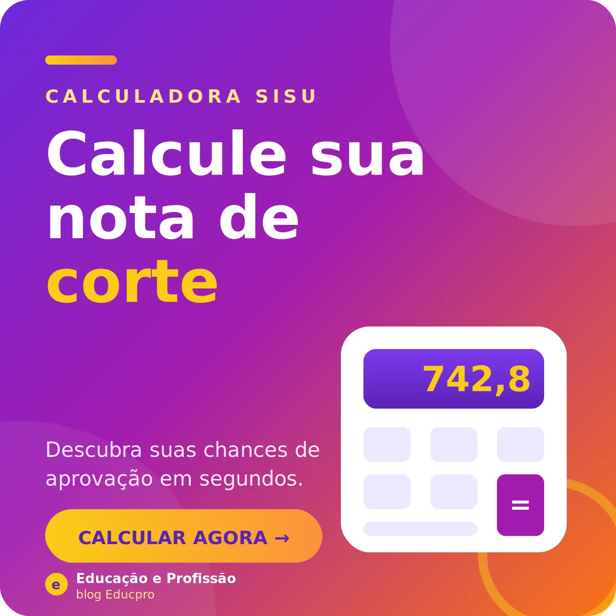 Calculador SISU