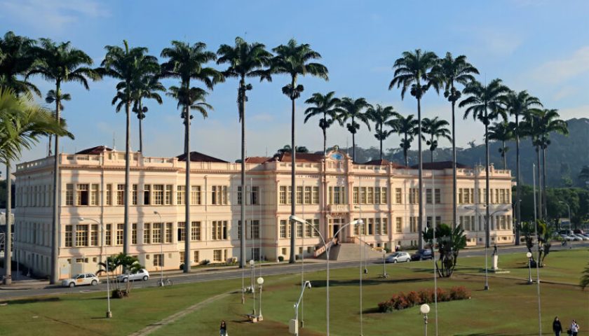 UFV Universidade Federal de Viçosa
